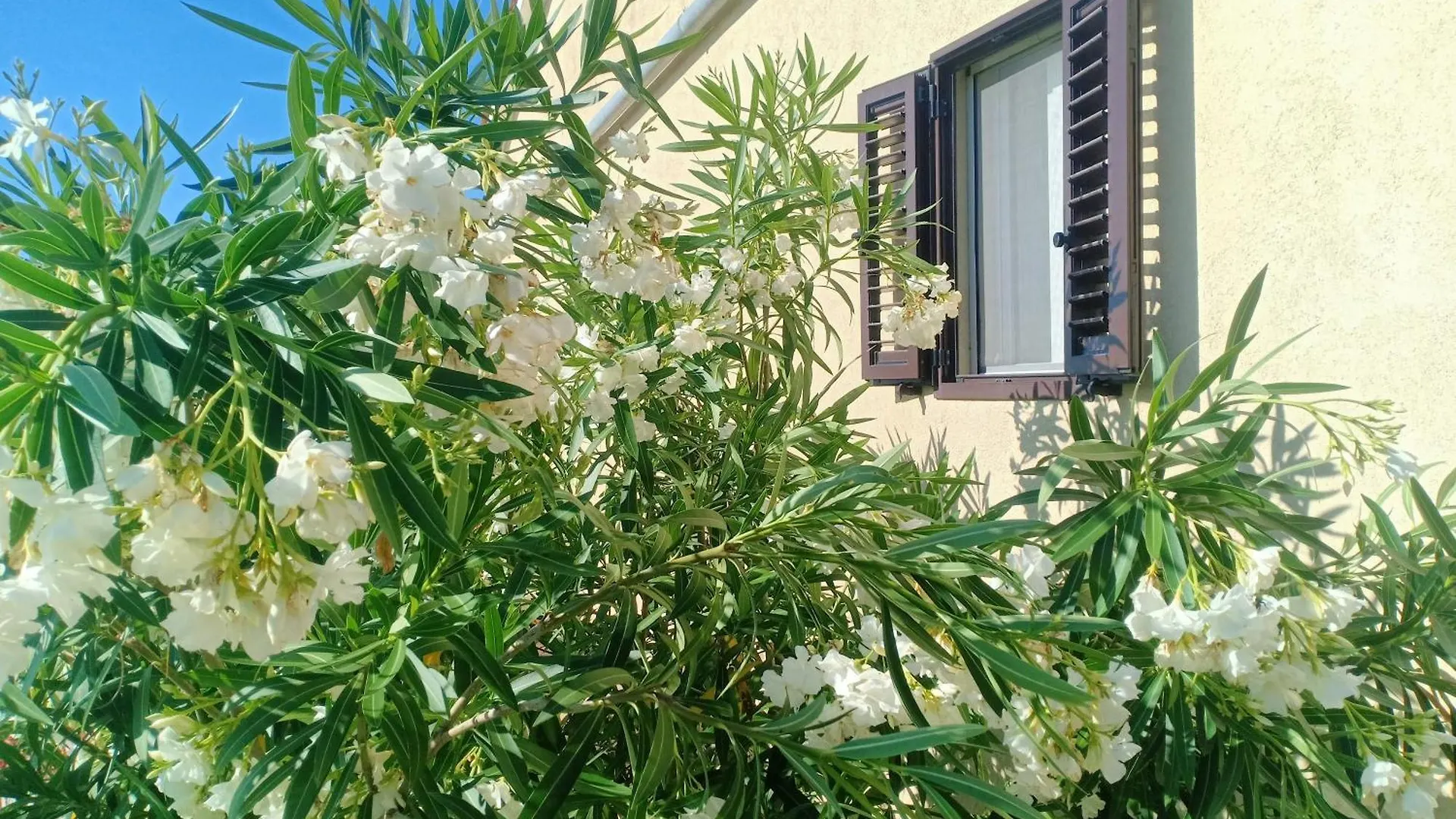 Βίλα Holiday Home Vista Natura Labin