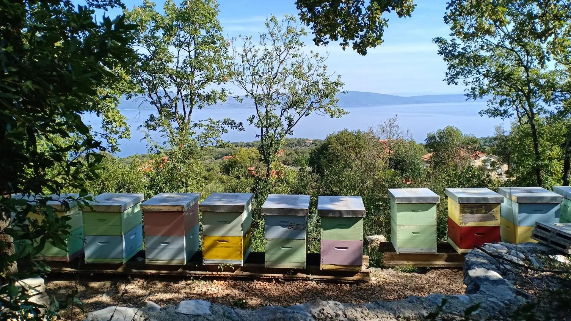 Holiday Home Vista Natura Labin  Βίλα